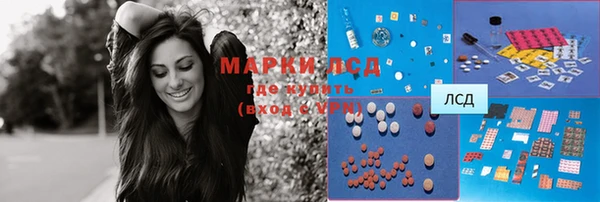 spice Инсар