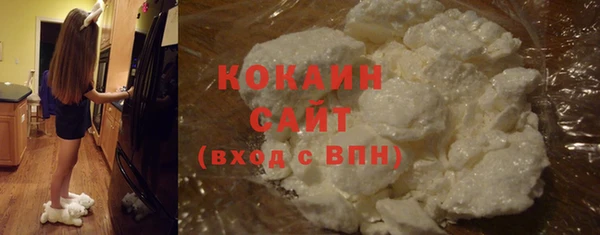 spice Инсар