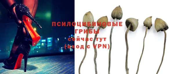mdpv Иннополис
