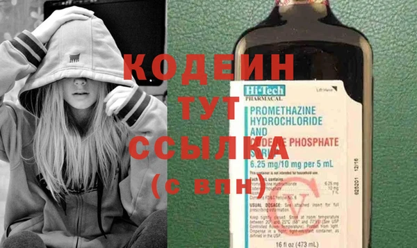 mix Инта