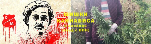 mix Инта