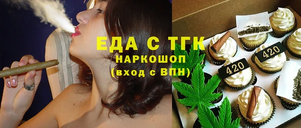 mix Инта