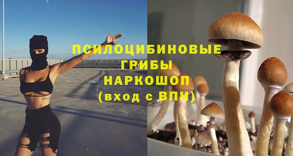 mdpv Иннополис